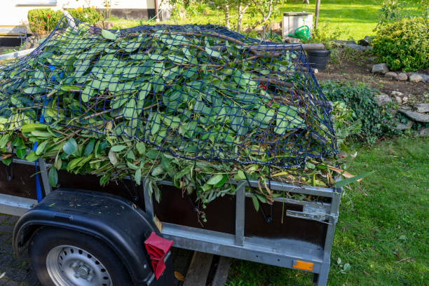 Best Retail Junk Removal  in Ellettsville, IN